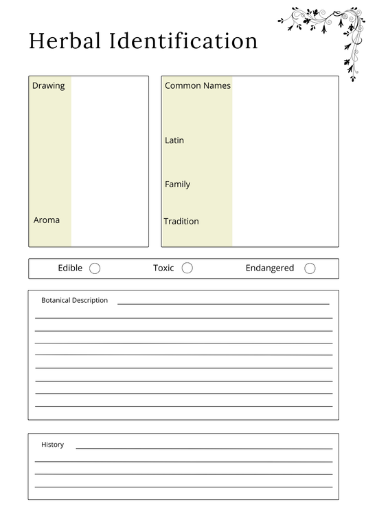 Herbs & Essential Oils Planner